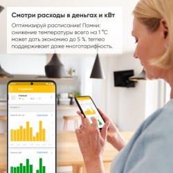 Terneo SX